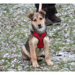 Малышка Нюша очень ждет своего родного ЧЕЛОВЕКА.