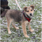 Малышка Нюша очень ждет своего родного ЧЕЛОВЕКА.