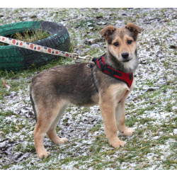 Малышка Нюша очень ждет своего родного ЧЕЛОВЕКА.