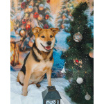 Толстушка ждёт родителей!