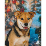 Толстушка ждёт родителей!