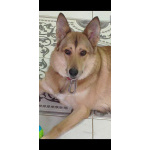 Джек ищет свой дом