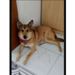 Джек ищет свой дом