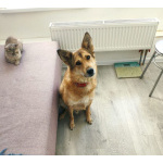 Джек ищет свой дом