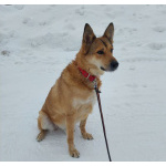 Джек ищет свой дом