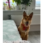 Джек ищет свой дом