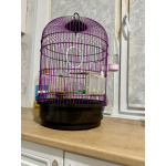 Щегол вместе с клеткой