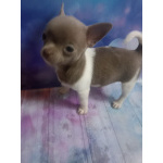 Очень красивый мальчик