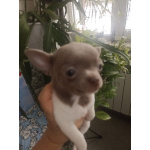 Очень красивый мальчик