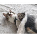 Мега ласковая красотулечка Машенька мечтает о родной семье и доме