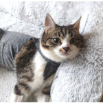 Мега ласковая красотулечка Машенька мечтает о родной семье и доме