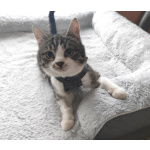 Мега ласковая красотулечка Машенька мечтает о родной семье и доме