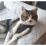 Мега ласковая красотулечка Машенька мечтает о родной семье и доме