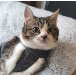 Мега ласковая красотулечка Машенька мечтает о родной семье и доме