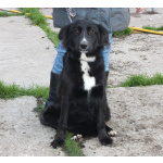 Молоденькая красавица Оливка ищет свою родную семью