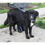 Молоденькая красавица Оливка ищет свою родную семью