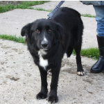 Молоденькая красавица Оливка ищет свою родную семью