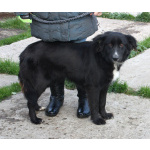 Молоденькая красавица Оливка ищет свою родную семью