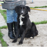 Молоденькая красавица Оливка ищет свою родную семью