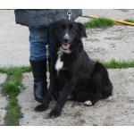 Молоденькая красавица Оливка ищет свою родную семью