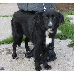 Молоденькая красавица Оливка ищет свою родную семью