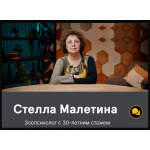 Курс по воспитанию и коррекции поведения кошек.