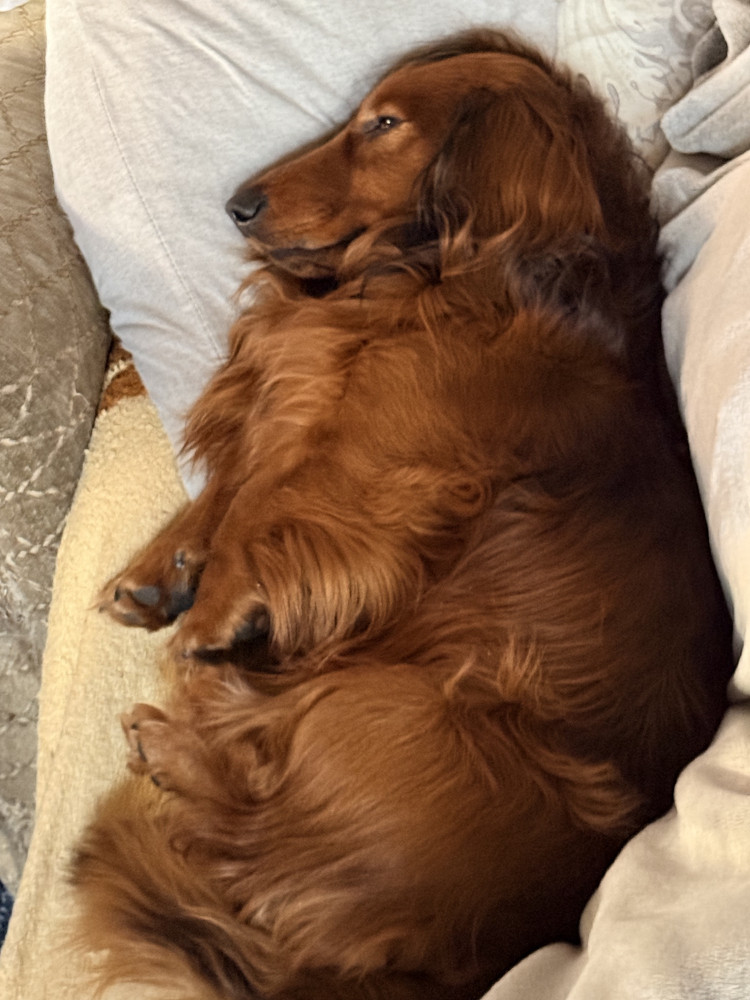 Парню нужна его мадмуазель