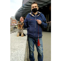 Щенки йоркширского терьера супер мини