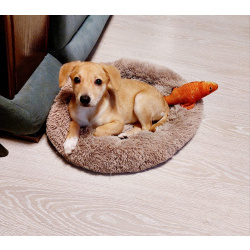 Очень красивый маленький щенок