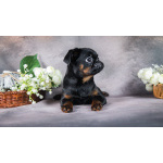 Мини девочка