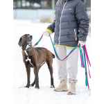 Красавица Лада, молодая добрая семейная собака ищет дом