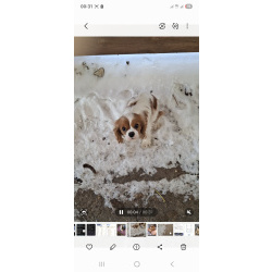 Девочка.год.ркф.