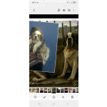 Детки сенбернар