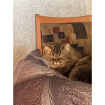 Парню нужна его мадмуазель