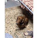 Парню нужна его мадмуазель