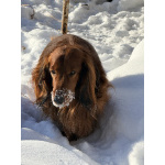 Парню нужна его мадмуазель