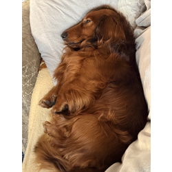 Парню нужна его мадмуазель