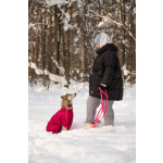 Трогательная принцесса Нала ищет свой дом!