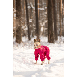 Трогательная принцесса Нала ищет свой дом!