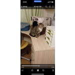 Ищу дом Шуне