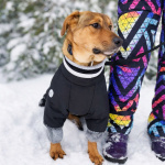 Чудесный 5 мес щенок Ричи ищет семью!