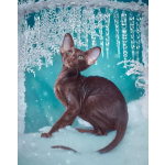 Ориентальные котята