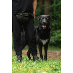 Чёрный богатырь Макс в добрые руки