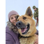 Шикарный парень Майор в добрые руки!