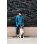 Ураган Маруф в поисках своего человека!