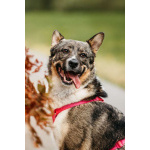 Ураган Маруф в поисках своего человека!