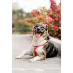 Ураган Маруф в поисках своего человека!