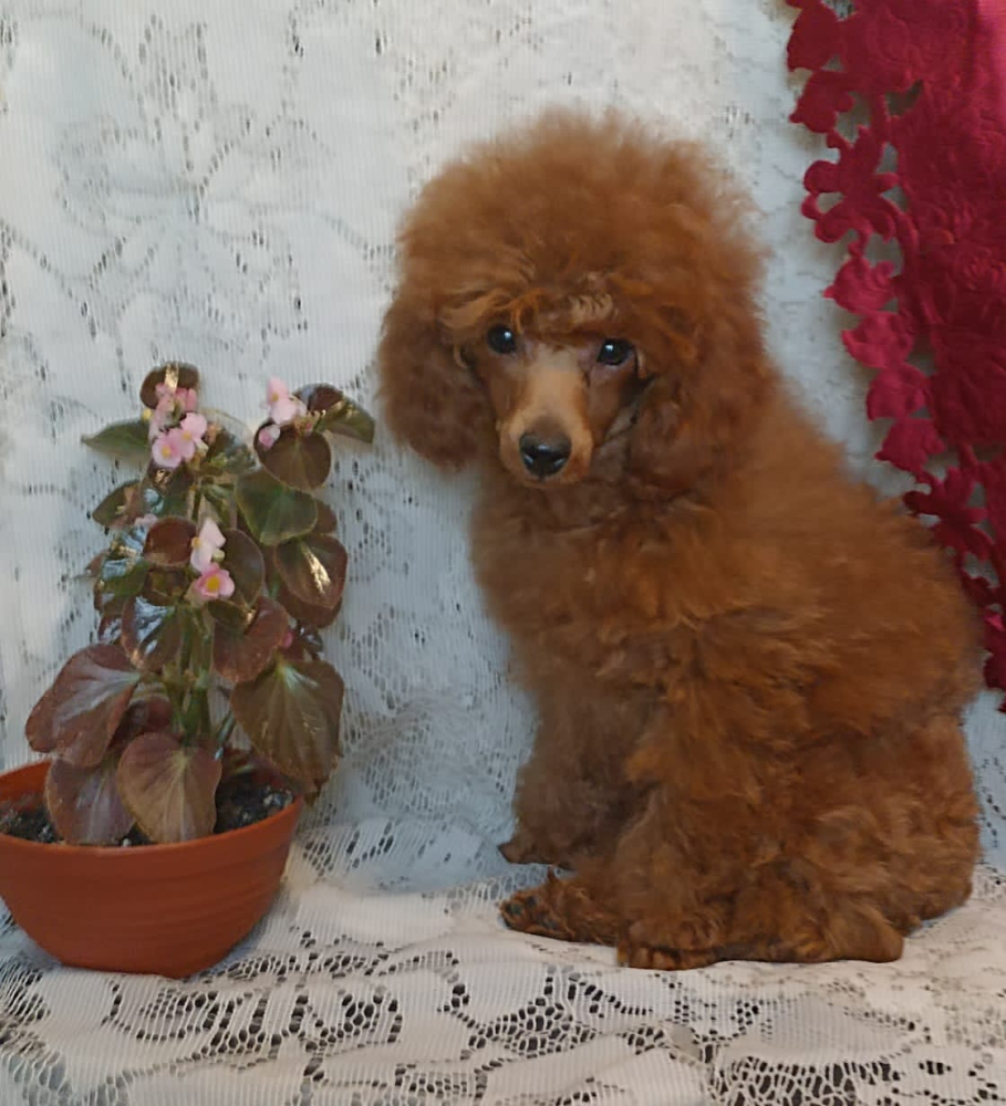 Ирина Валентиновна Рыжих