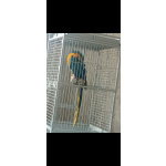 Сине-желтый Ара