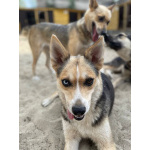 Сия - миниатюрная девочка с глазами из разных миров